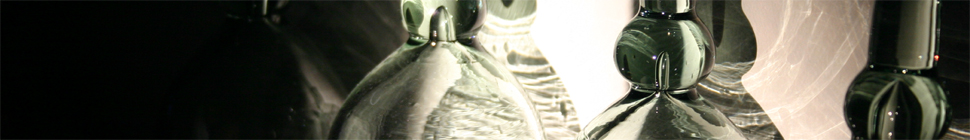 Holly Witteman random header image